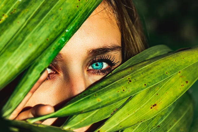 The Ultimate Guide to Complementary Eye Colors