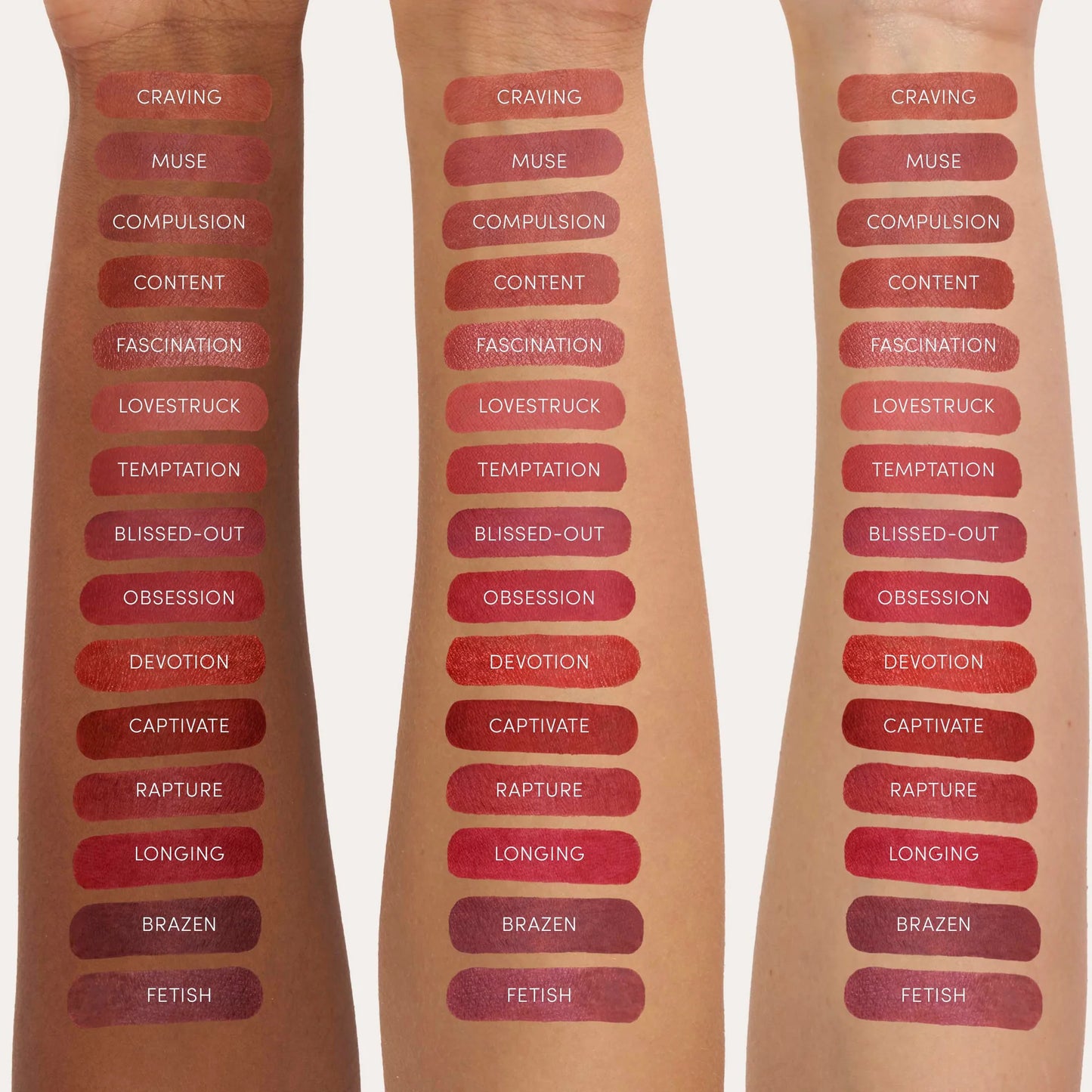 Beyond Matte Lip Stain