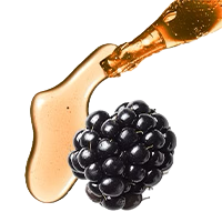 Blackberry being drizzled with honey