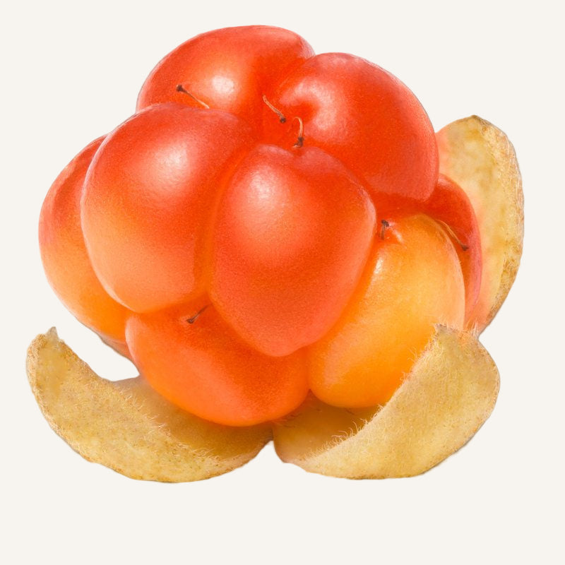 Close-up of a cluster of red and orange fruits with a white background