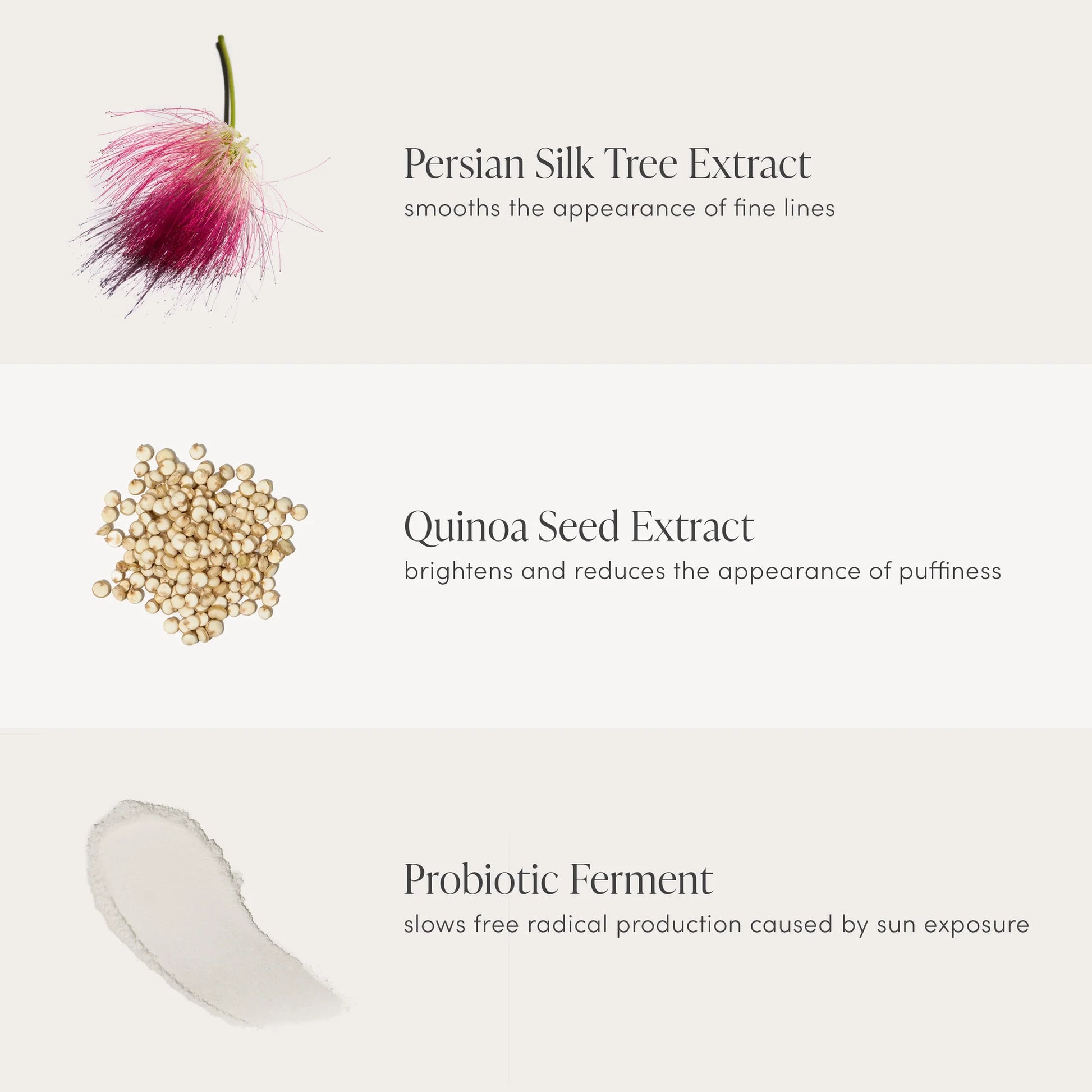 Illustration of Persian Silk Tree Extract, Quinoa Seed Extract, and Probiotic Ferment with text on a white background.