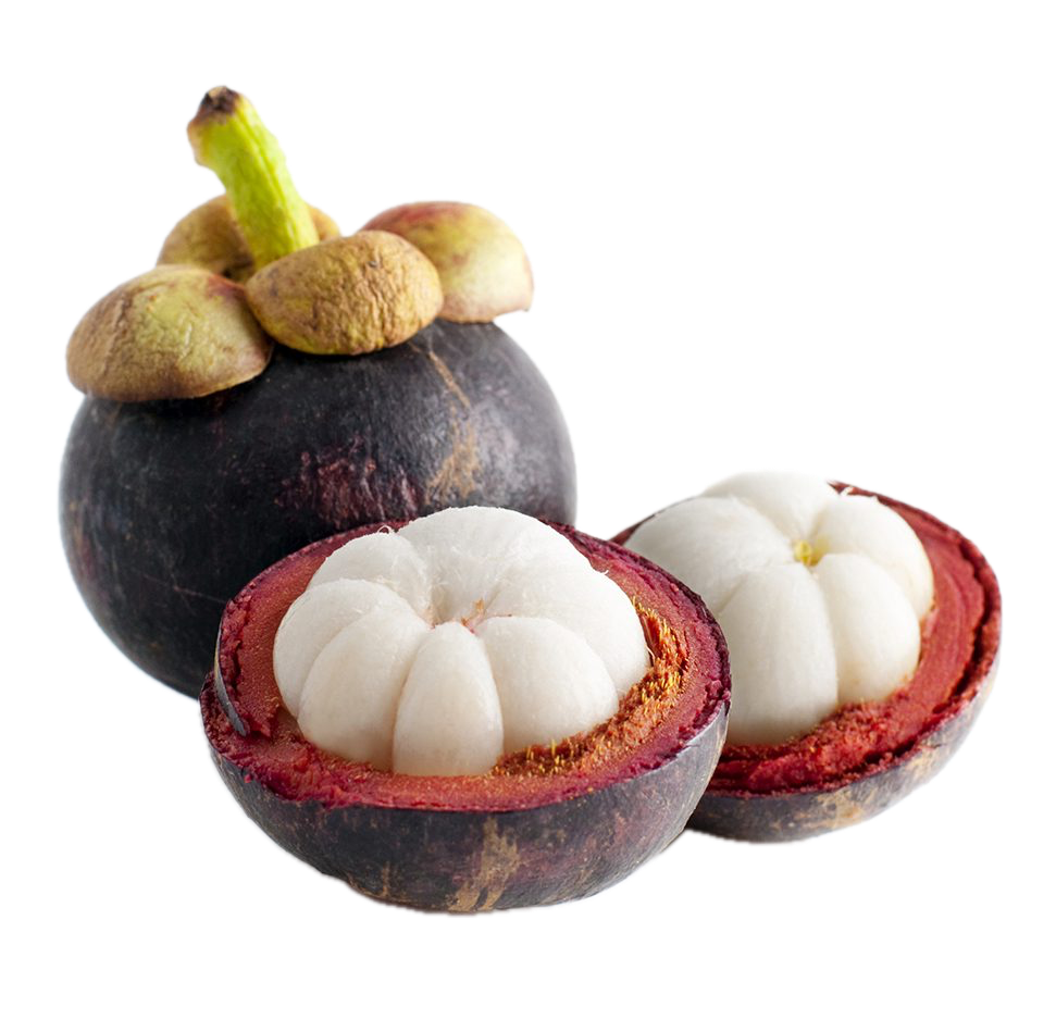 Mangosteen fruit with a cut open one showing its white flesh on a white background
