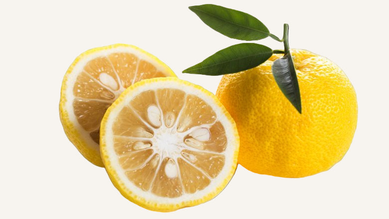 Two whole lemons and one sliced lemon with green leaves on a white background