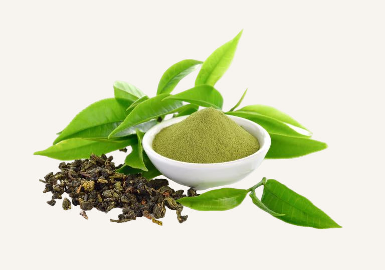 Green tea leaves and powder in a white bowl on a white background