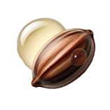 Jojoba seed
