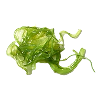 Green leafy vegetable on a white background