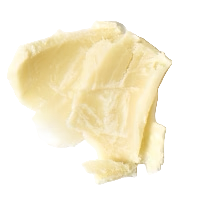 Shea Butter