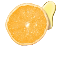 Half of an orange on a white background