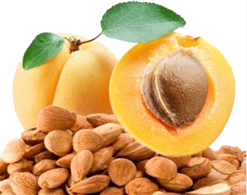 Two apricots with a halved one showing seeds, surrounded by almonds on a white background.