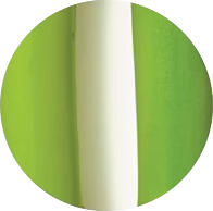 Green and white cylindrical object