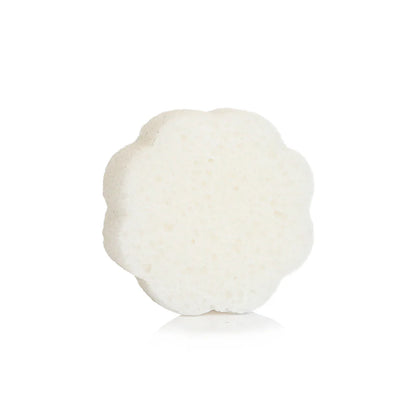 Spongellé - Sweet Patchouli | Daisy Spongette