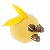 Yellow fruit with a green leaf on a white background