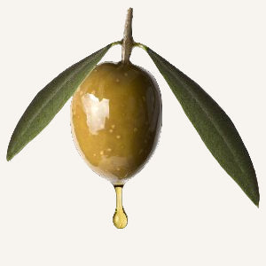 Green olive with a droplet of oil on a white background