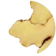 Bitten cookie shaped like a crescent moon on a white background