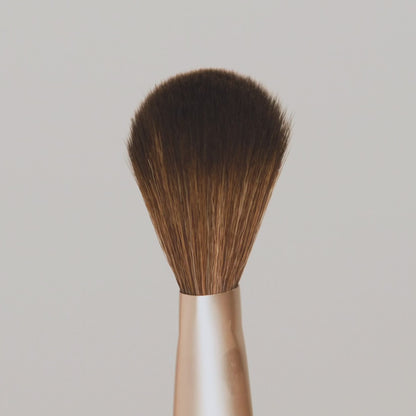 Powder Complexion Brush