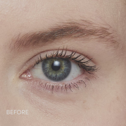 PureBrow Brow Powder