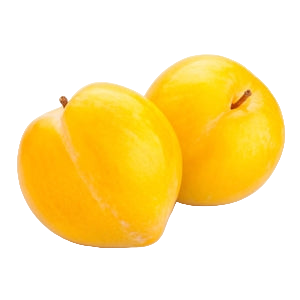 Two yellow plums on a white background